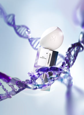 ÉVEIL ÉLÉMENTAIRE