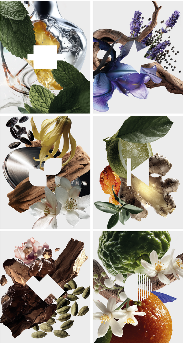 COFFRET DECOUVERTE ODYSSÉE